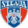 布加勒斯特科学